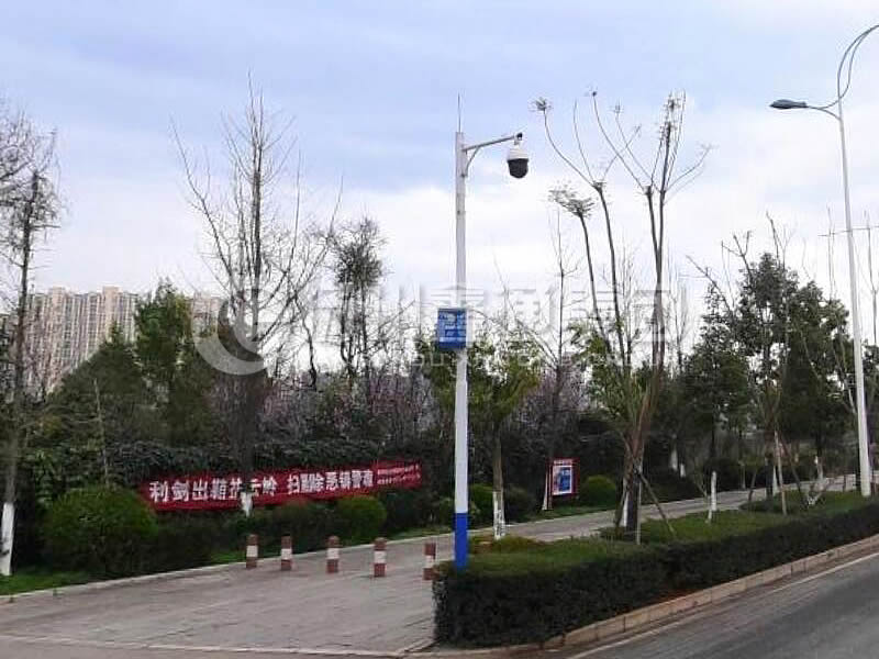 DJG-025，電子警察桿，治安監(jiān)控桿
